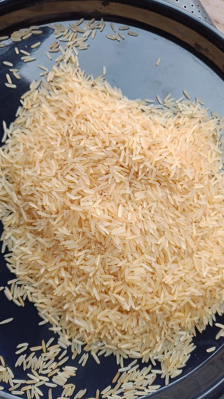 BASMATI 1509,Golden Sell